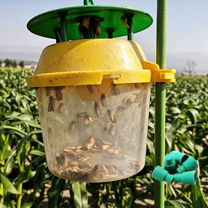 Piège à phéromones Helicoverpa Armigera pour la chenille du coton, à libération lente, pour la surveillance et la capture en masse des capillaires rouges - Product Image 6