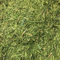 Équipement agricole Machinerie agricole Hacheur d'ensilage Hachoir à herbe pour l'alimentation des animaux Mini coupe-paillettes