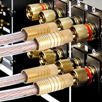 RASANTEK RSH-039 4mm HIFI Erkek Muz Tipi Konnektör 24k Altın Kaplama Pirinç Hoparlör Kablo Terminalleri Amplifikatör ve AV Sistemi için