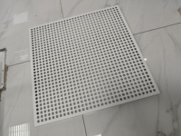 Panneau de plafond en aluminium perforé et décoratif sur mesure avec revêtement blanc