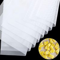 Moderne herbruikbare antislip siliconen gaas stoommat, bakmat, vriesdroogmat, antiaanbaklaag, wasbaar, dun, op maat te maken