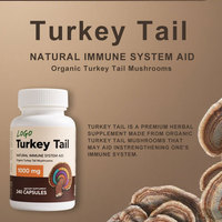 Compléments d'extraits de champignons 100 % purs de haute qualité pour la santé du système immunitaire – Capsules pour renforcer l'immunité