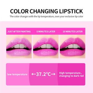 Lápiz Labial Mágico que Cambia de Color, 6 Piezas por Caja, Cambia de Color con la Temperatura, Resistente al Agua, Larga Duración, 8 Horas - Product Image 4
