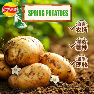 <span class=keywords><strong>Chips</strong></span> de pommes de terre salées <span class=keywords><strong>Lays</strong></span> édition limitée printemps, sachet de 60g, saveur naturelle, snacks exotiques - Product Image 6