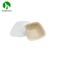 Boîte d'emballage alimentaire carrée 350ml 500ml, micro-ondable, étanche, anti-graisse, avec couvercle, en pulpe de bagasse écologique recyclable, vente en gros