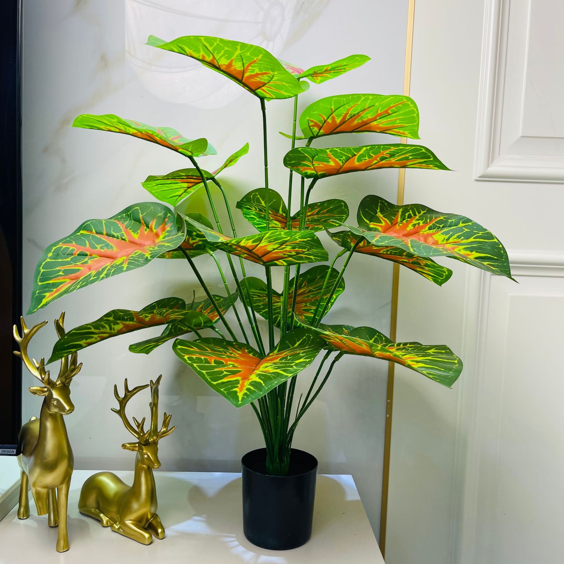 Cœur rouge Goutte de rosée Alocasia Verdure