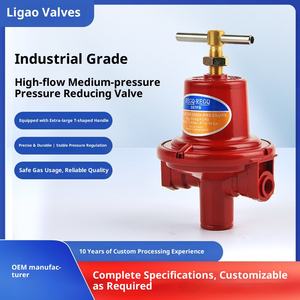 Valvola di Riduzione della Pressione del <span class=keywords><strong>Gas</strong></span> Naturale a Struttura Angolare per Elettrodomestici, Fornitura Diretta dalla Fabbrica - Product Image 4