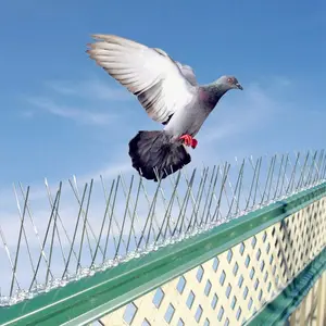 Hot bán thép không gỉ chống Pigeon gai kiểm soát chim Repeller chim gai scare chim đi