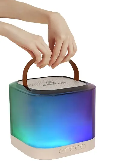 Nouveau modèle Mini haut-parleur et microphone pour fête à domicile Haut-parleurs karaoké portables sans fil avec lumière LED