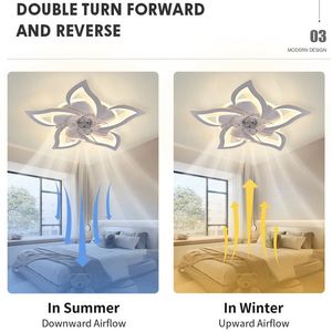พัดลมเพดานสไตล์โมเดิร์นพัดลมติดเพดาน, พัดลมแฟนซีตกแต่งบ้าน - Product Image 5
