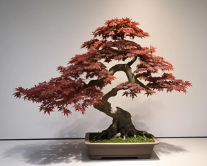 モダンな赤日本黒松盆栽ミニマリスト人工植物オフィス/ショップディスプレイ用100% UV耐性色 - Product Image 4