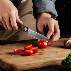 KEENHOPE Juego de <span class=keywords><strong>Cuchillos</strong></span> de <span class=keywords><strong>Cocina</strong></span> <span class=keywords><strong>Profesionales</strong></span> Japoneses de 9 Piezas, Acero de Damasco, Núcleo VG10, Mango Octagonal de Madera de Arce - Product Image 4