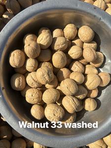 쉘 페이퍼 호두 점보 크기 호두에있는 호두 - Product Image 5