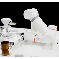 Bras Robotisé d'Automatisation pour Peinture par Pulvérisation de Voitures Industrielles, Bras Robot de Peinture à 6 Axes, Kit de Bras Robot de Pulvérisation