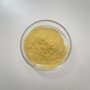 โปรตีนซีนจากข้าวโพดคุณภาพสูง 100% บริสุทธิ์ เกรดอาหาร ผงซีน - Product Image 3