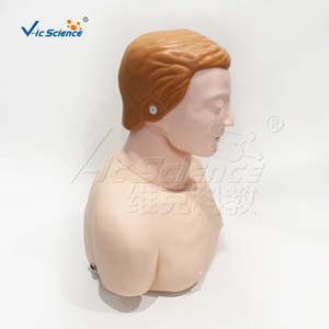 Mannequin <span class=keywords><strong>de</strong></span> formation RCP demi-corps en PVC taille réelle, section transversale intercostale 6e niveau, pour l'enseignement médical CE ISO ROHS CNAS - Product Image 4