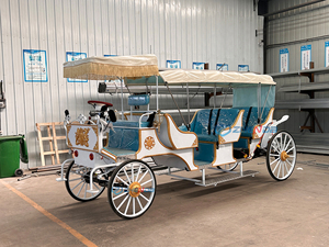 Nouvelle calèche de mariage de style victorien / Calèche à chevaux de haute qualité / Calèche électrique à chevaux à vendre - Product Image 3