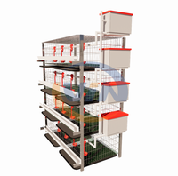 Cages pour animaux de type H 3/4 niveaux 60/80 oiseaux viande poulet avec abreuvoir mangeoire et assiette à excréments pour poulets de chair pour 1000 oiseaux