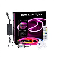 Bande lumineuse LED néon RVB à couleurs changeantes, contrôle intelligent par application WiFi, 12V/24V, adressable RGBIC, PVC IP65, 5m, flexible, moderne