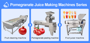 Machine à éplucher et à séparer les arils de grenade, prix abordable, certifiée CE - Product Image 3