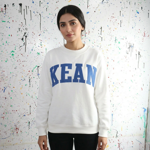 KEAN ASH GREY Oversized Hooded Half Zip 100% Cotton Winter Sweatshirt <b>Navy</b> Blue Applique Embroidery Digital CLUSH SPORTS - Product Image 1