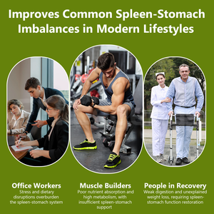 OEM ODM Ginseng estratto in polvere stimolare l'appetito aumentare la massa corporea integratore di Ginseng a base di erbe - Product Image 3