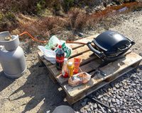 Régulateur de valve de barbecue à gaz manuel compatible YM Weber Q100 Q120, remplacement YMGRV80477, température moyenne/basse, installation facile