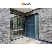 Fabricant OEM/ODM de portes d'entrée commerciales en vrac, design moderne de porte pivotante principale, porte en aluminium antivol