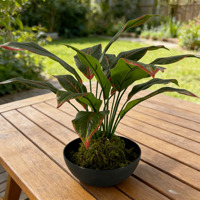 Plante Artificielle Haut de Gamme Effet Naturel, Boule de Mousse Verte Artificielle de Luxe, Haute Simulation, Écologique et Durable pour Mariage et Salon