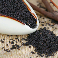 600 graines noires de sésame, meilleurs produits alimentaires, un meilleur démarreur, extracteur indien