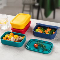 Boîte à lunch en silicone portable, sans BPA, écologique, de qualité alimentaire, pour le stockage des aliments, vente en gros