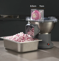 110 V 60 HZ/220 V 50 HZ Multifunctionele verstelbare dikte groente-uien snijmachine, snijder, schaafmachine, fruitsnijder