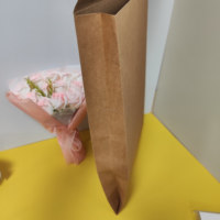 Enveloppe Kraft Auto-Adhésive avec Bande Déchirable Recyclable et Logo Personnalisé pour Courriers, Supermarchés, Expositions et Promotions