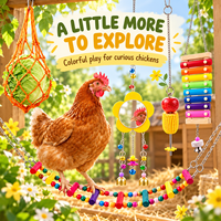 Jouets d'enrichissement en bois pour poulets avec balançoire, perchoir, miroir et xylophone, et support à légumes pour poulets, pour accessoires de poulailler de jardin
