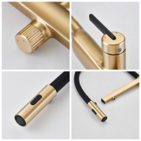 Robinet de cuisine extractible en laiton brossé doré, design italien, 3 modes d'eau, avec filtre, pour cuisine domestique, café, restaurant