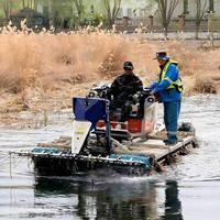 Bateau amphibie multifonctionnel pour la récolte des roseaux, la coupe de l'herbe des lacs et la gestion des zones humides.