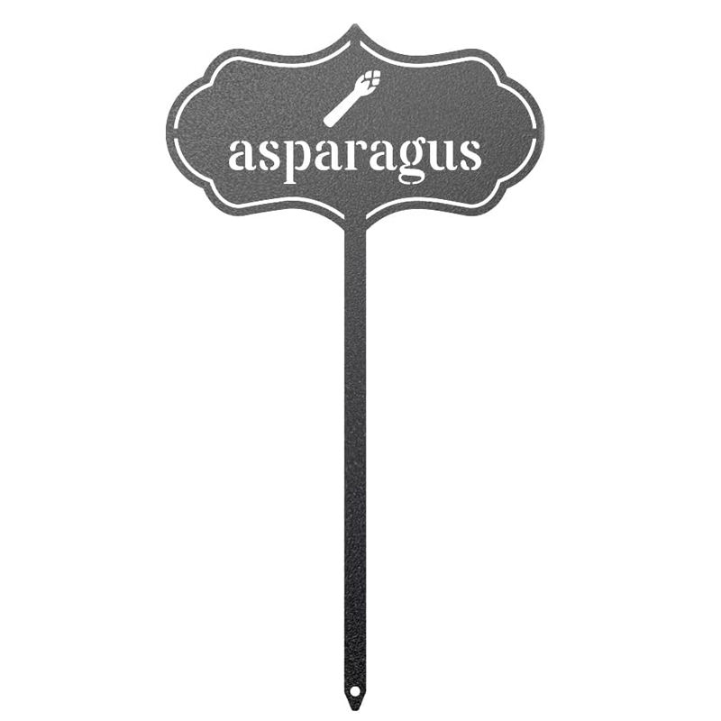 สีดำ-หน่อไม้ฝรั่ง