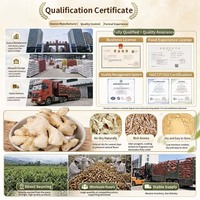Tranches de gingembre déshydratées de haute qualité, flocons de gingembre séchés, épice naturelle pour la pâtisserie et l'industrie alimentaire, approvisionnement en vrac