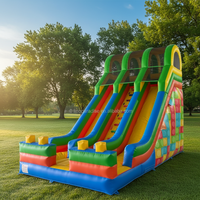 Location de fêtes pour enfants Toboggan à sec commercial Blocs gonflables à double voie pour enfants