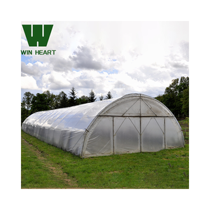 Invernadero Tipo Túnel de un Solo Tramo Resistente al Viento para Cultivadores del Medio Oriente - Product Image 3
