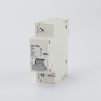 Disjoncteur miniature DC/125A 1P 63A 500V DC MCB 6kA 10kA IEC60947-2 CE pour système solaire photovoltaïque