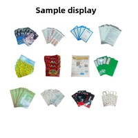Machine de pagination automatique à double canal avec alimentation par aspiration pour sacs en aluminium, pochettes, cartes et matériaux d'emballage