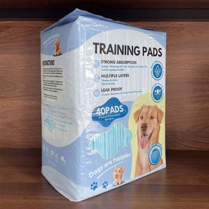 Fournisseur chinois de tapis d'entraînement jetables pour chiots et chiens, 60 x 60 cm, pour l'apprentissage de la propreté des chiens - Product Image 1