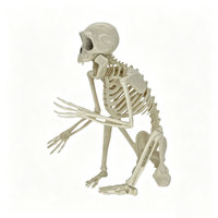 Figurine squelette de singe articulée d'Halloween, modèle d'os de primate flexible, accessoire effrayant pour décoration de cimetière, jardin ou maison hantée