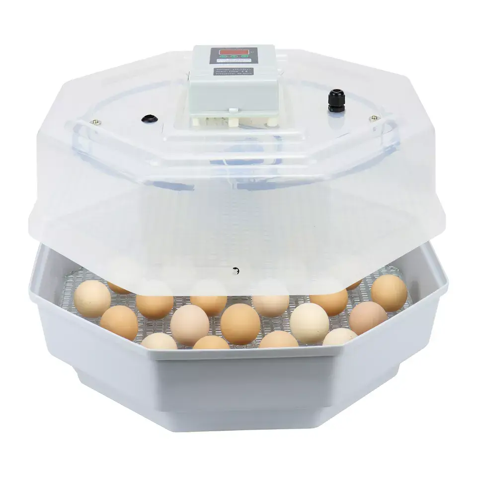 Mini incubateur d'oeufs de caille Janeol 80 avec rotation des œufs à la main