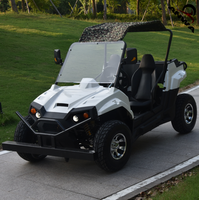 Buggy électrique UTV dune 2022 W 2000W, prix usine 3000