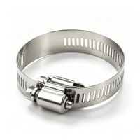 Quick Release Stainless Steel Bolt Hose Clamp Slotted Band Hardware Fitting for Food Beverage Pipeline Fixing Work