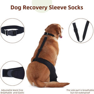 Nouveaux étuis de <span class=keywords><strong>protection</strong></span> pour animaux de compagnie, protège-jambes pour chien anti-léchage et mordant, équipement de <span class=keywords><strong>protection</strong></span> pour chien à souche ligamentaire articulaire du genou - Product Image 6