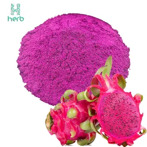 100% natives wasser lösliches organisches rosa Pitaya-Pulver Red Dragon Fruit Powder