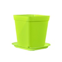 Mini pot carré épaissi coloré pour petites fleurs, pot à succulentes, pot en plastique, pot à semis – Vente en gros fabricant